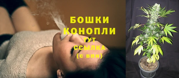 гидра Переславль-Залесский