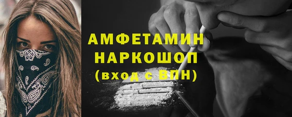 индика Вязьма