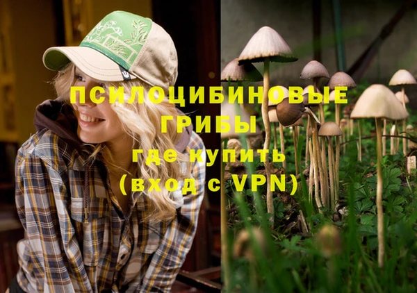 jwh Пестово