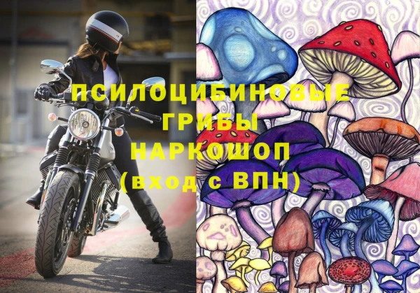 гидра Переславль-Залесский